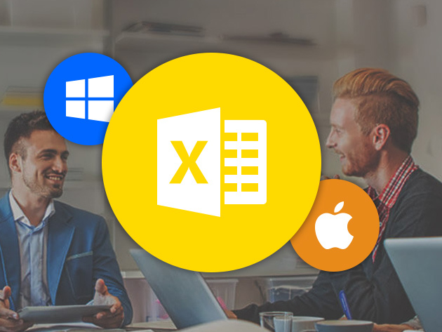 Microsoft Excel Pro Training for Mac & PC for $29