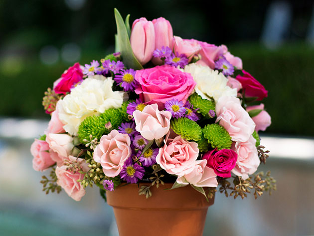 Teleflora Mother’s Day Special for $20