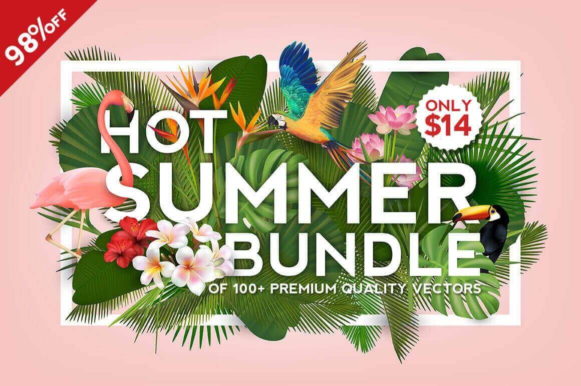Hot Summer Bundle of 100+ Premium Quality Vectors – only $14!