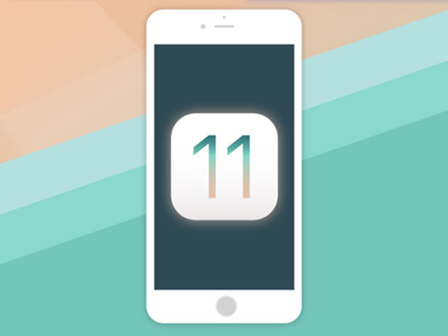 The Definitive iOS 11 Developer Bundle for $49