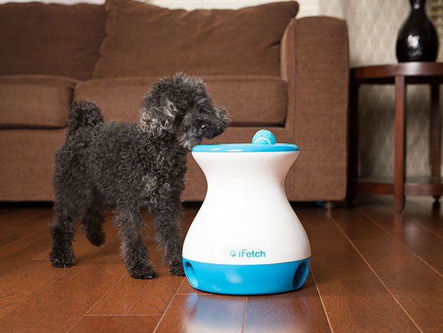 iFetch Frenzy: Automatic Ball Launcher for Small Dogs & Spaces for $39