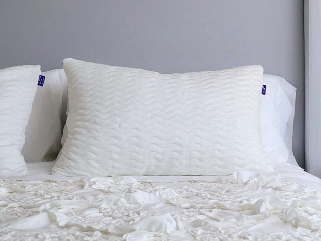 Cushion Lab Adjustable Shredded Memory Foam Pillow for $29