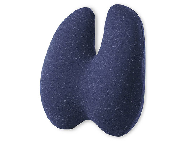 Cushion Lab Ergonomic Lumbar Pillow (Navy) for $29