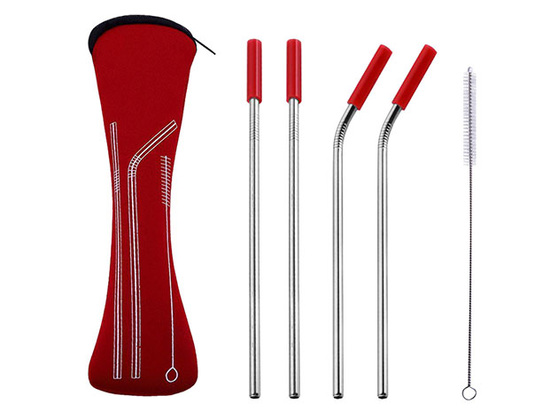 Stainless Steel Straw 4-Pc Set with Carrying Case & Cleaning Brush for $12