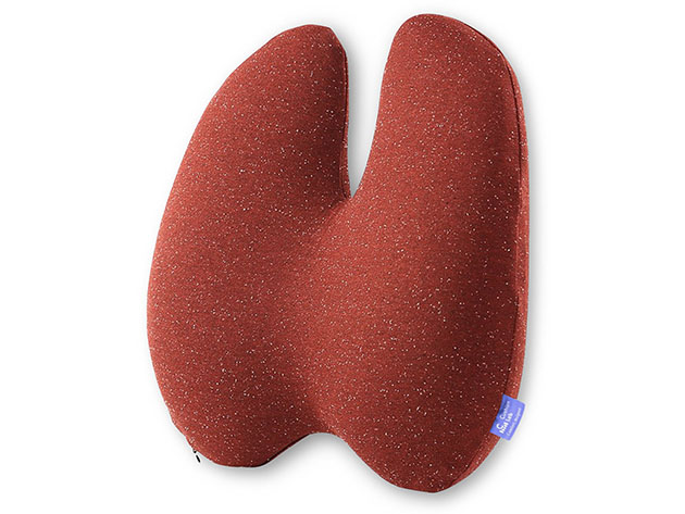 Cushion Lab Ergonomic Lumbar Pillow (Red) for $29