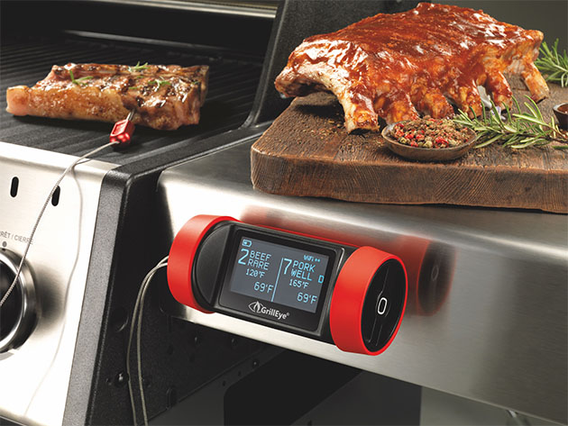 GrillEye® Pro Plus: Hybrid Grilling & Smoking Thermometer for $99